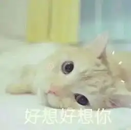 穿搭一场与暖冬的甜蜜邂逅