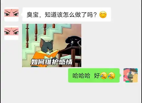 知道该怎么做了吧你对象猫和老鼠表情包搞笑视频经典段子