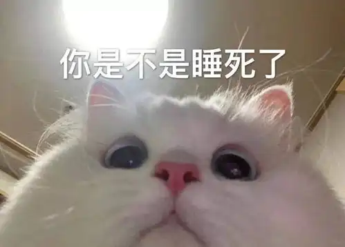 猫咪表情包如果我是一只咸鱼,那就让我快乐每一天