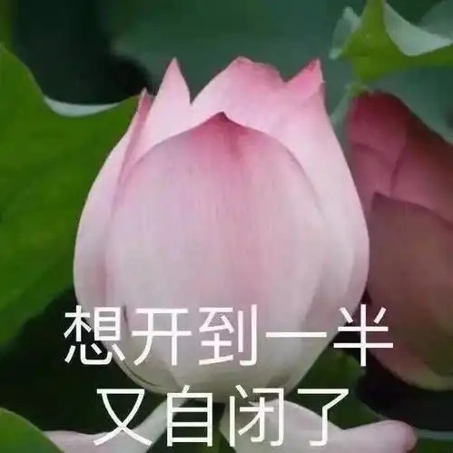 小雪节气到个别地区有小雪或零星小雪