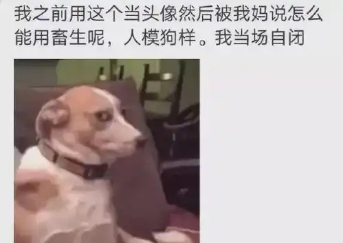妈妈选头像有多严谨长辈对头像的理解,总是有着神一般的脑回路