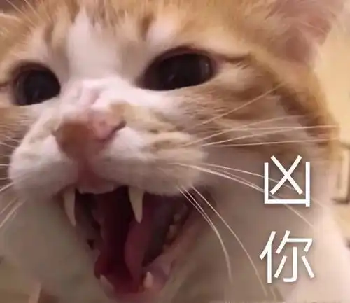 沙雕斗图表情包i你以为这样很好玩吗嗯
