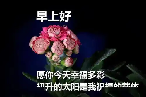 特别好看漂亮的早上好问候动态图片带字微信群早晨好问候语早安图片大全
