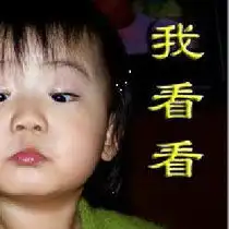 桃花源收藏视频桃花源收藏视频分享