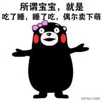 吱哟幽默笑话说了你又不听,听又不懂,懂又不做