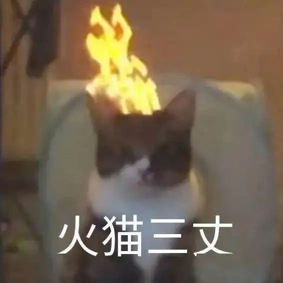 沙雕搞笑表情包i打麻将吗