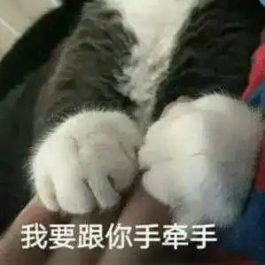表情亲吻情人节表情包手牵手表情包