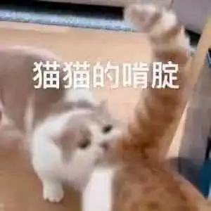 猫猫和狗勾的小故事