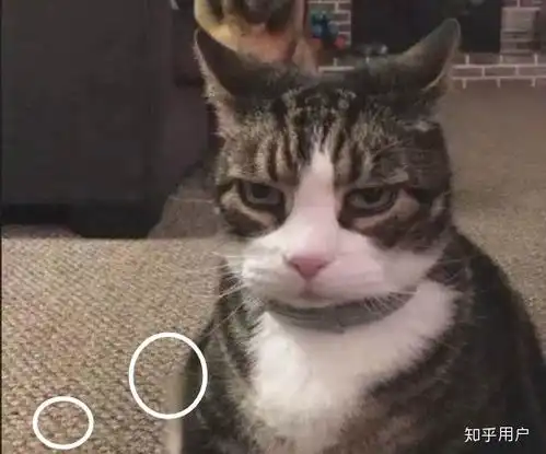 哪些地方可以看出一个人的品位