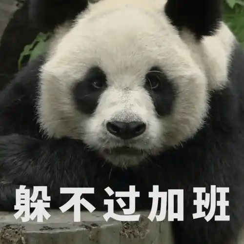测试一个超长简介的文章