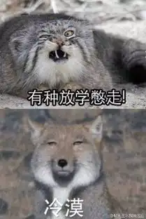 天津相声广播进入十月份,奇葩大赛选手们开始发力了