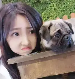 搞笑图片女朋友说她吃得不多,一顿只吃一碗