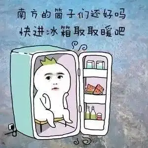 真的好冷