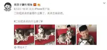 网购时千万别给客服发表情包,哈哈哈哈哈笑到岔气