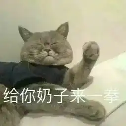 你都用过那些特别有趣的表情包