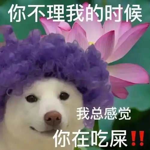 无意间看到弟弟给我的备注聊天记录笑yue了