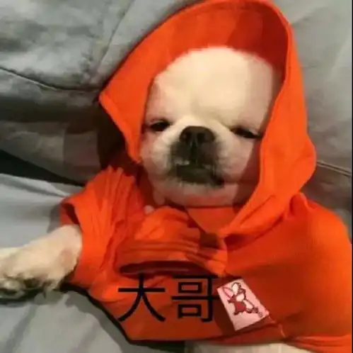 个性搞怪情侣头像我偏偏无理取闹,除非先生抱抱