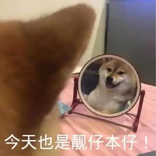 出国经验帖留学生春季开学三大难题,你知道应该如何应对了吗