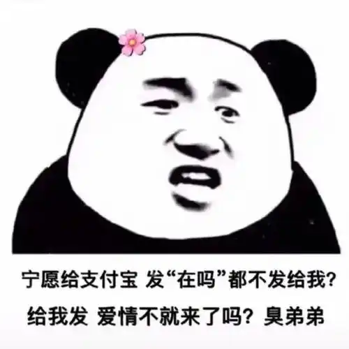 幽默搞笑表情包别说了,小肥猪