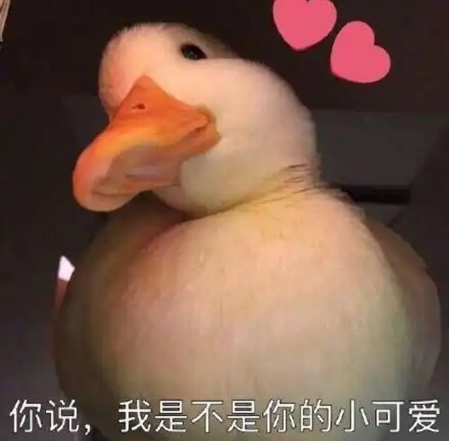 堪称世界级的大奖,最受欢迎的竟然是一只假猫