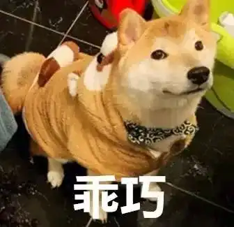 你家狗子做过什么蠢事隔着屏幕我都能感觉到主人的绝望......
