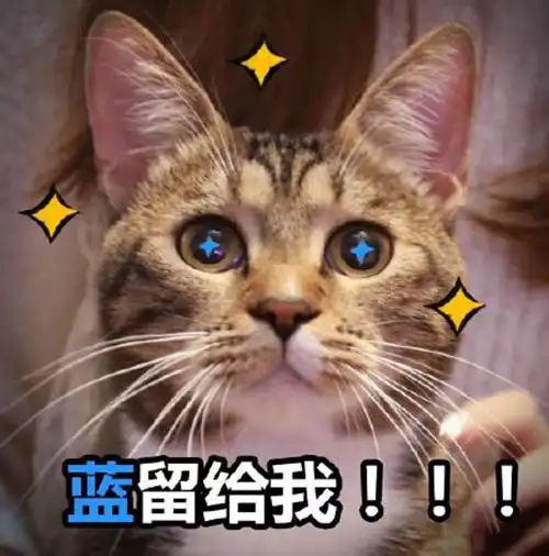 王者荣耀喵喵搞笑表情包搜狐游戏搜狐网