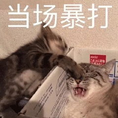 吵架必备表情包