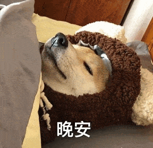 萌宠有趣狗狗表情包你是不是近视了,否则为什么看不到我喜欢你