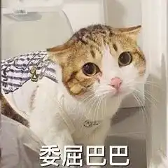 购票必读认准官方渠道,谨防上当受骗