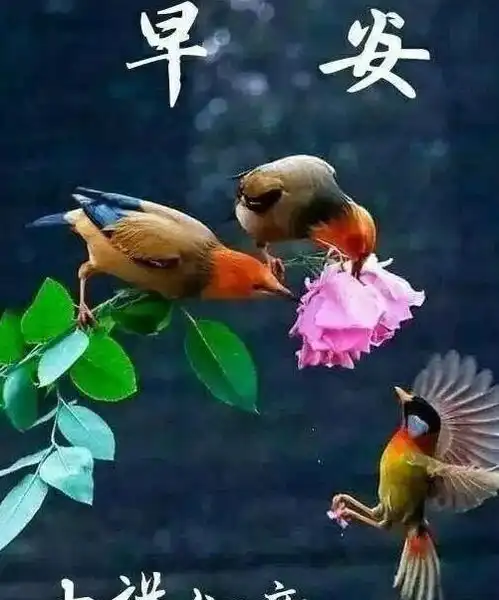 朋友圈问候大家早上好的暖心问候,微信冬季早安问候语配图片