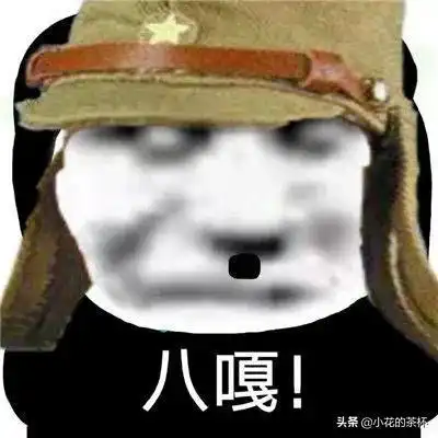 熊猫表情包06