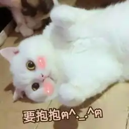 仙女哭泣表情包火了,用我的可爱眩晕你秀儿又是你在偷用吗