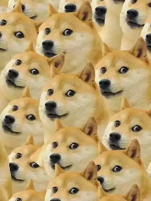 测试一个超长简介的文章