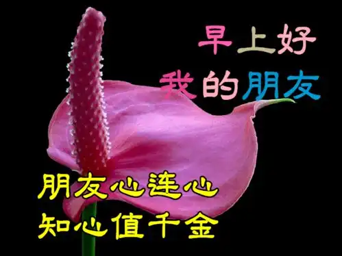 1月24日最漂亮早上好动态表情图片大全,早晨好动图美图大全
