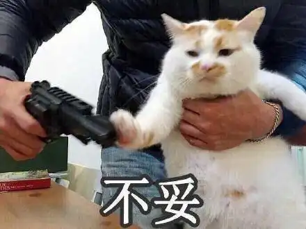 每日搞笑忍不住想笑的沙雕文案