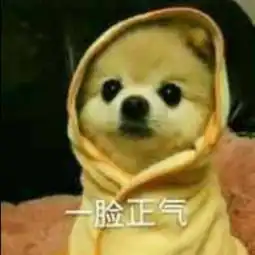 不乖y路伴朵行照片不乖y路伴朵行相册大全yy官方
