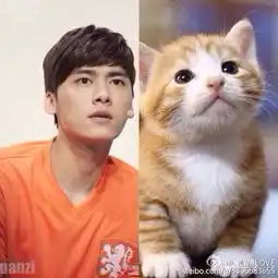 李易峰超萌表情包吐舌玩单杠与喵星人神同步7600279教育图片库大视野