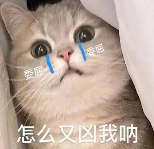 笑话十条看到几个小孩在玩过家家,不禁感慨古老的游戏被传承
