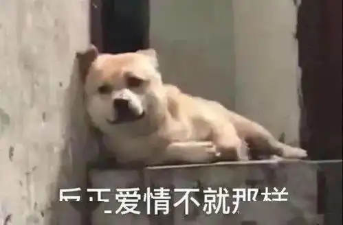 单身狗表情包,214