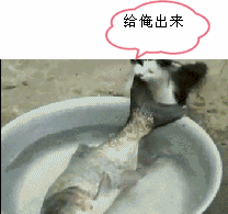 二货,趴我身上干什么