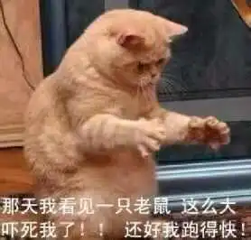 搞笑表情包你跟我说这些没用用,因为我只是一只猫