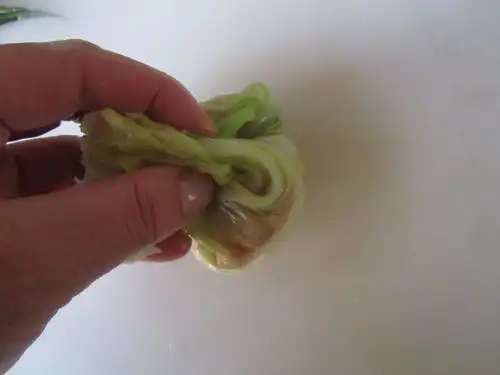 教你做个新年如意白菜包,做法超简单,蒸一蒸就上桌,好看又好吃