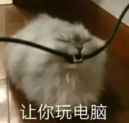 猫咪表情包喵