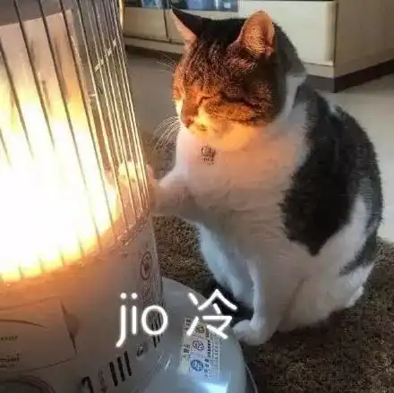 表情包天冷了,你需要暖被窝的吗