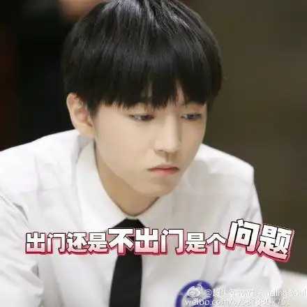 tfboys表情包