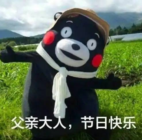 父亲节撩老爸表情包哎哟,这小伙咋这么帅呢