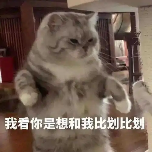 你遇到的最搞笑的表情包是什么样的