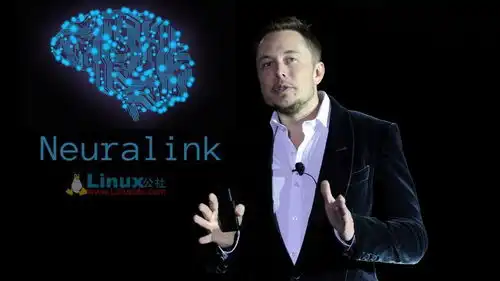 看了elonmusk的简历,我再也不说你咋不上天了