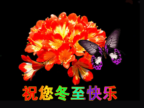 测试一个超长简介的文章