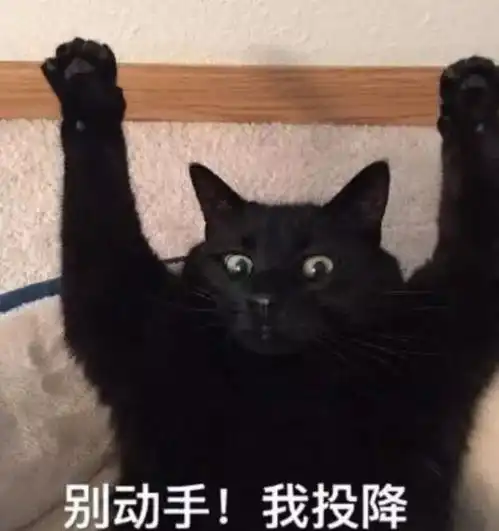 爆笑段子养过一只小刺猬,养得好好地,到了冬天,它一动不动